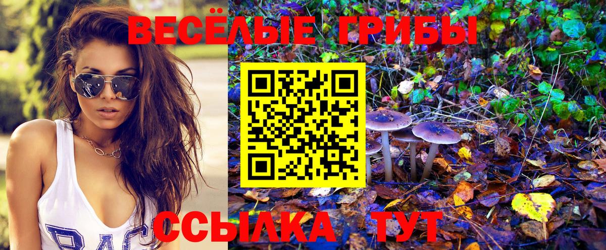 Псилоцибиновые грибы Cubensis  Вход с VPN  Шахты 