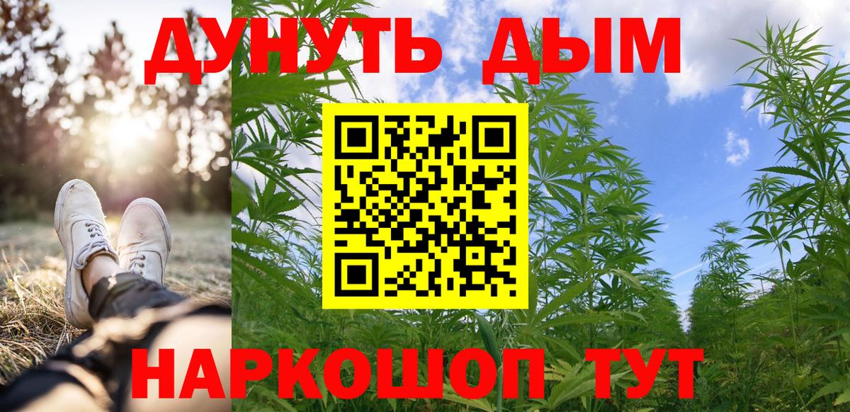 Канабис гибрид Шахты